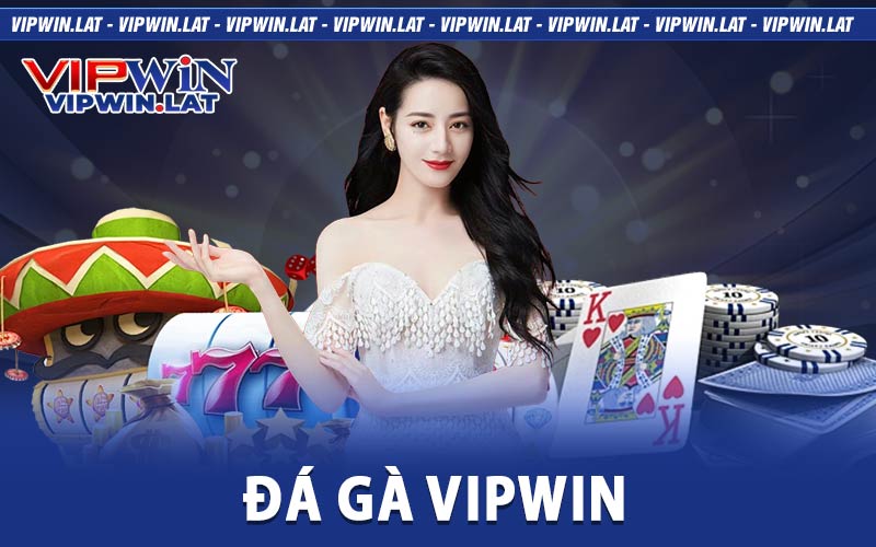 Đá gà VIPwin